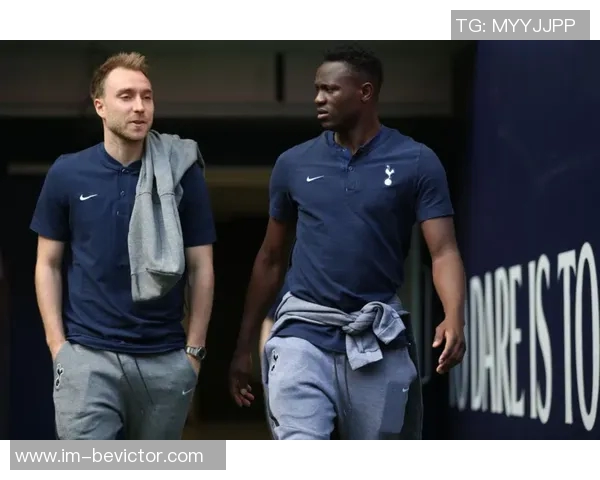 热刺冬窗目标弗拉霍维奇与大马丁塞梅尼奥或成孙兴慜替代者